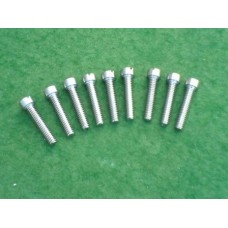 timing cover screw set (GS & B31)